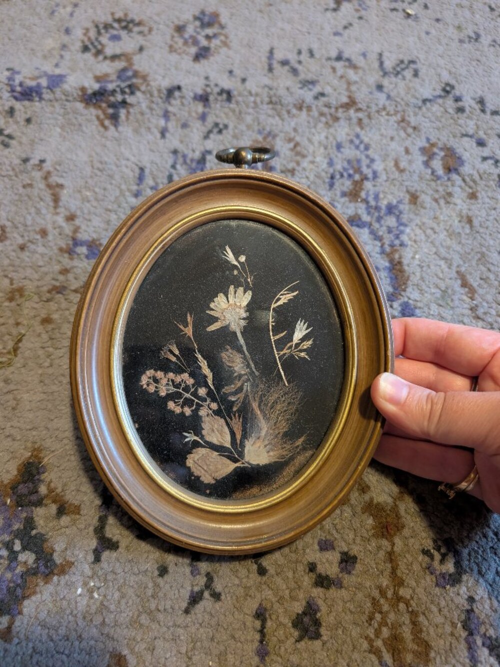 Vintage Pressed Flowers Small Wooden Frame Black Background Floral Nature 5"x6"